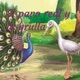 El pavo real y la grulla 