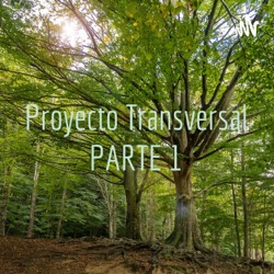Proyecto Transversal PARTE 1