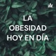 LA OBESIDAD HOY EN DÍA