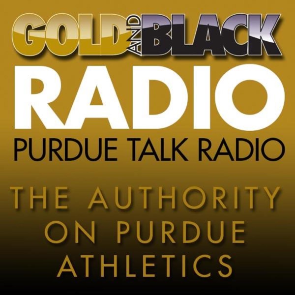 Artwork for Gold and Black Radio