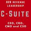 Enterprise Sales & Marketing Leadership - for B2B Companies - CXO - VC - Startup - Success - SaaS - Brian Burns