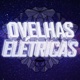 Ovelhas Elétricas | Bibotalk