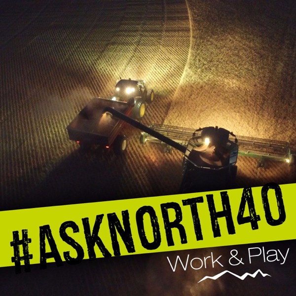 #AskNorth40