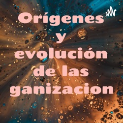 Orígenes y evolución de las organizaciones 