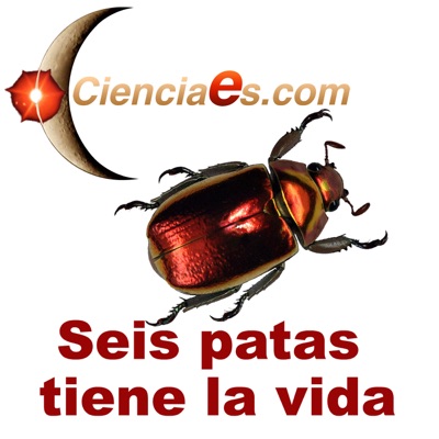 Seis patas tiene la vida - Cienciaes.com