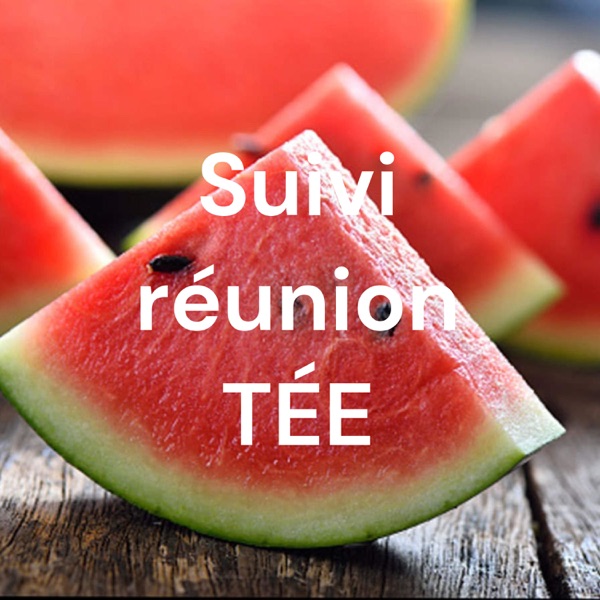 Suivi réunion TÉE