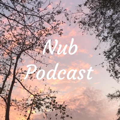 Nub Podcast:Nopi