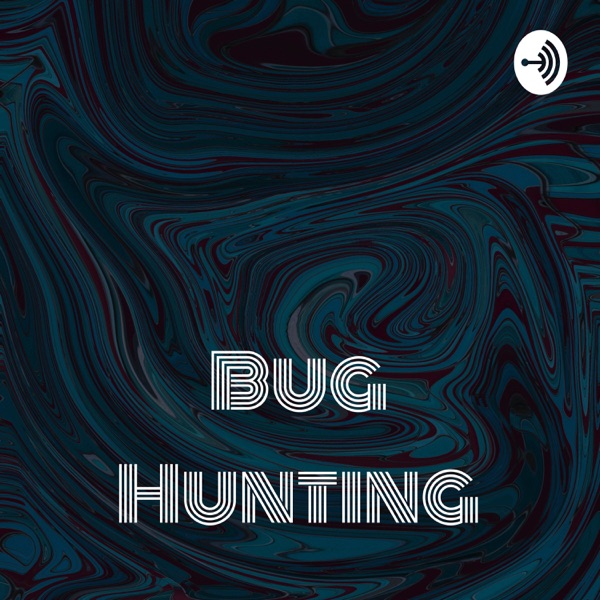 Bug Hunting: Beginner To Professional