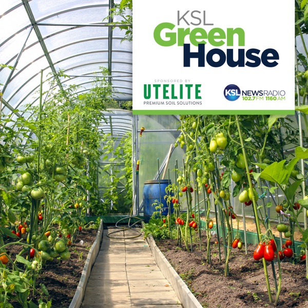 KSL Greenhouse Artwork