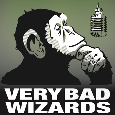Very Bad Wizards:Tamler Sommers & David Pizarro
