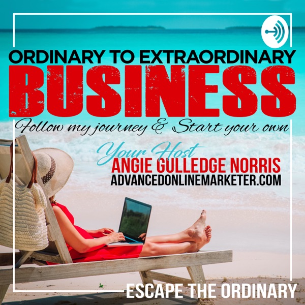 Ordinary to Extraordinary Business l Advanced Online Marketer