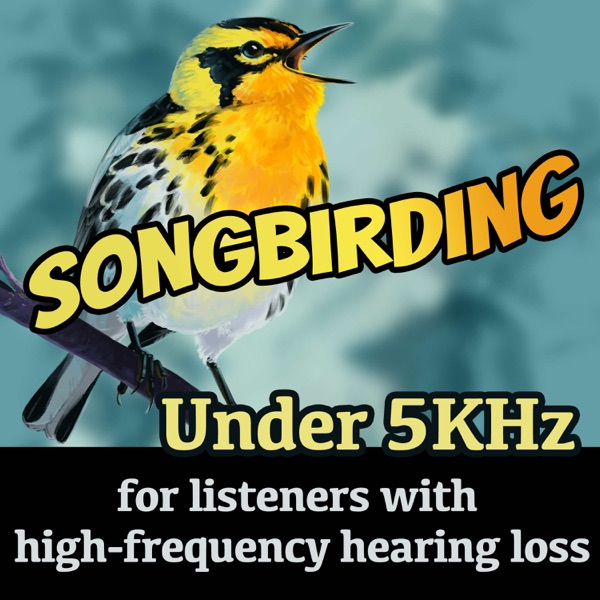 Songbirding Under 5kHz Artwork