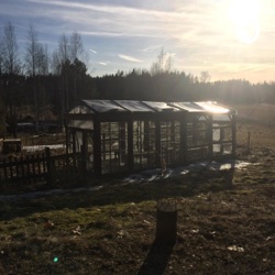 Joshua Finch about Setting up an Urban Permaculture Farm in Finland