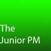 The Junior Project Manager - The Junior PM