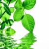 Biotecnología