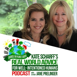 Divorce on Planet Earth: Real World Advice for Well-Intentioned Humans