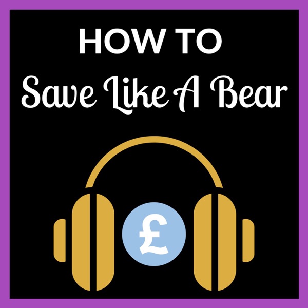 How To Save Like A Bear Artwork