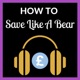 How To Save Like A Bear