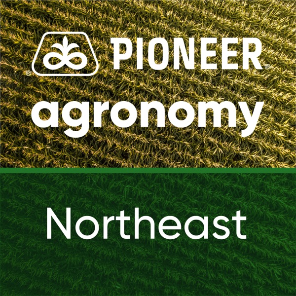 Pioneer Agronomy: Northeast Artwork