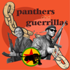 Panthers and Guerrillas: Black America, Kurdistan, and Their Struggles For Freedom - Neighbor Democracy
