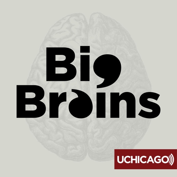 Big Brains: Back in 2019