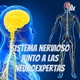 Sistema nervioso