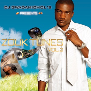 DJ GwadaNichol's - Zouk Tunes