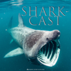 Shark-Cast - Shane Wasik