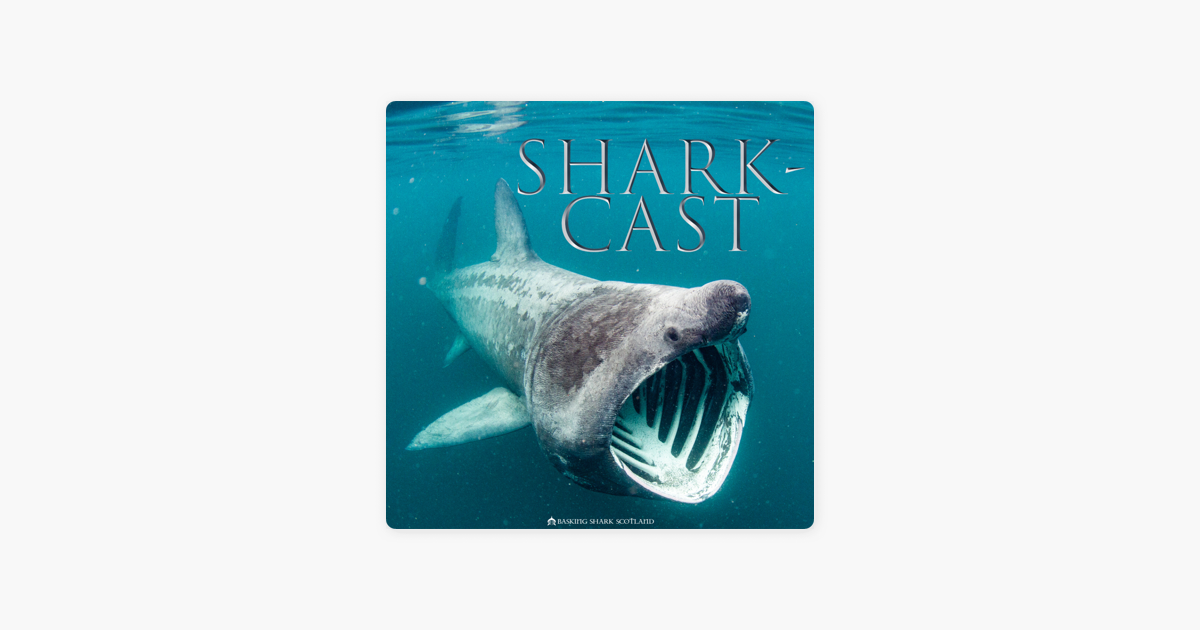 Shark-Cast on Apple Podcasts