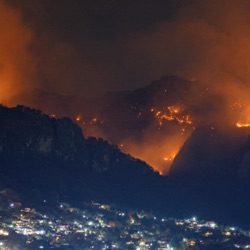 Incendios forestales, cambio climático y reforestación 