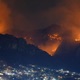 Los incendios forestales, el cambio climático y la reforestación