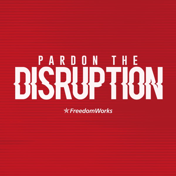 Pardon The Disruption