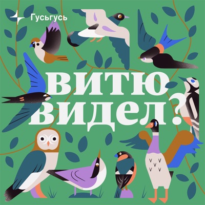 Витю видел? Витю видел?
