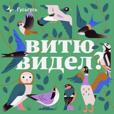 Витю видел?:Гусьгусь