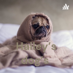 Hailey’s dog’s 🐶
