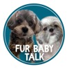 Fur Baby Talk