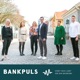 BankPuls  - högt och lågt om ekonomi!