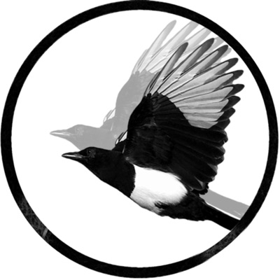 Magpie Podcast from Adam Roxby