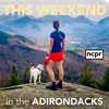 This weekend in the Adirondacks artwork