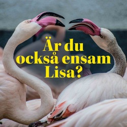 Lisas servettmän