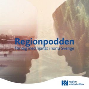 Regionpodden