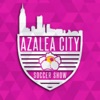 Azalea City Soccer Show artwork