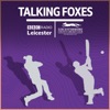 Talking Foxes artwork