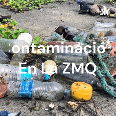 Contaminación En La ZMQ:María Ramírez