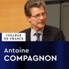 Littérature française moderne et contemporaine : Histoire, critique, théorie - Antoine Compagnon