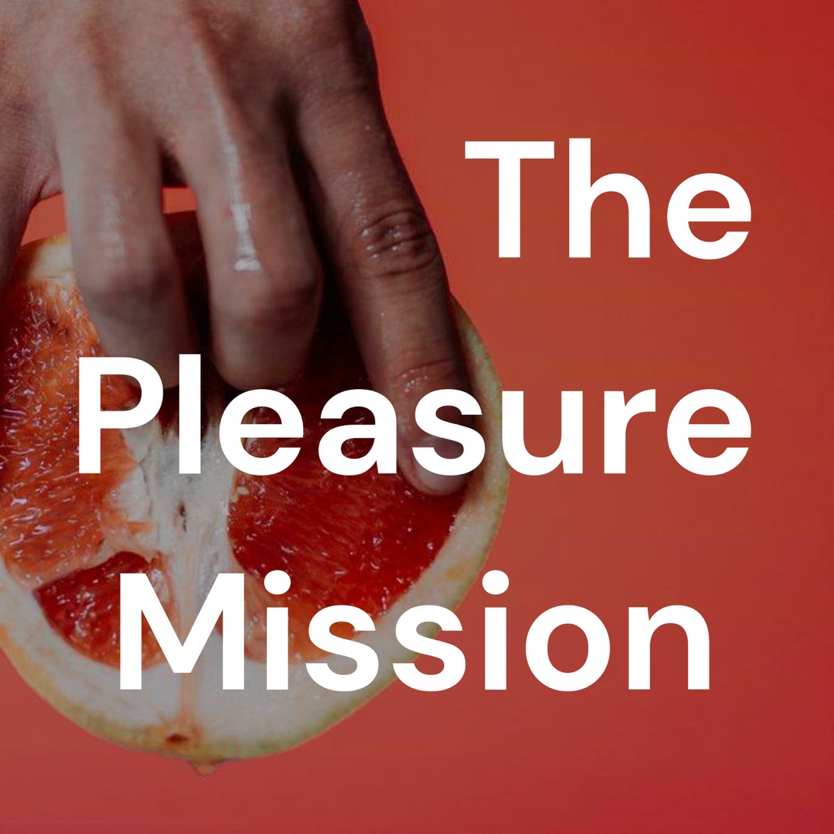 The Pleasure Mission