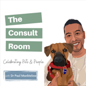 The Consult Room