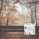 The Energy of Autumn {251}