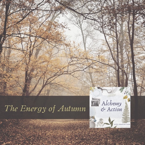 The Energy of Autumn {251} photo