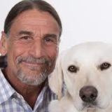 The Power of Medicinal Mushrooms: Enhancing Pet Wellness with Dr. Rob Silver